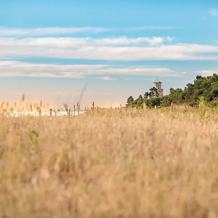 Palazzo Del Mare Int6 Silvi Silvi Marina